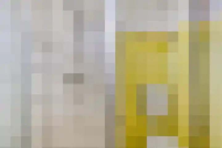 Oudlaan 15 Pijnacker thumbnail 28