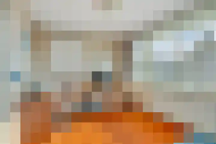 Oudlaan 15 Pijnacker thumbnail 31