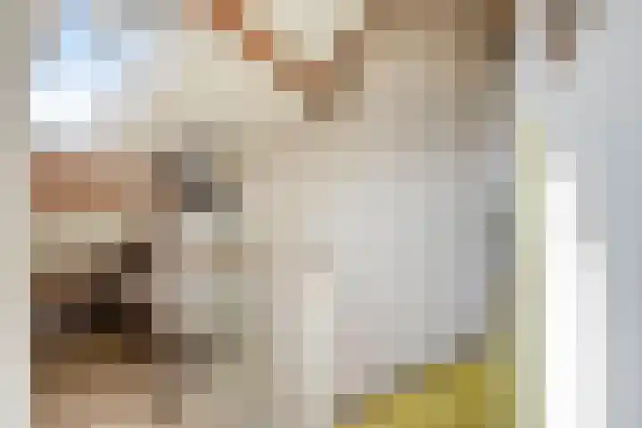 Oudlaan 15 Pijnacker thumbnail 33