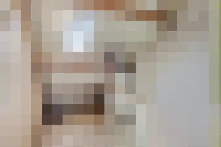 Oudlaan 15 Pijnacker thumbnail 34
