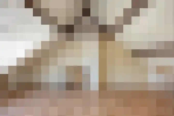 Oudlaan 15 Pijnacker thumbnail 35