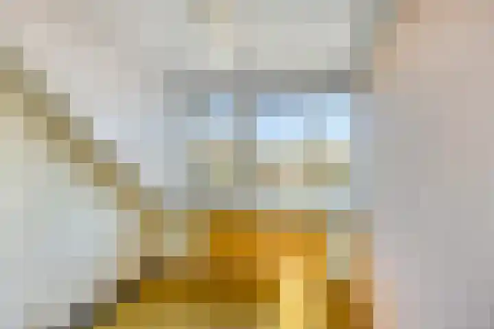 Oudlaan 15 Pijnacker thumbnail 38