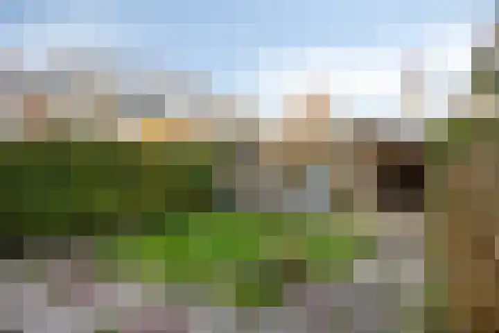 Oudlaan 15 Pijnacker thumbnail 40