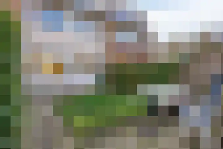 Oudlaan 15 Pijnacker thumbnail 43