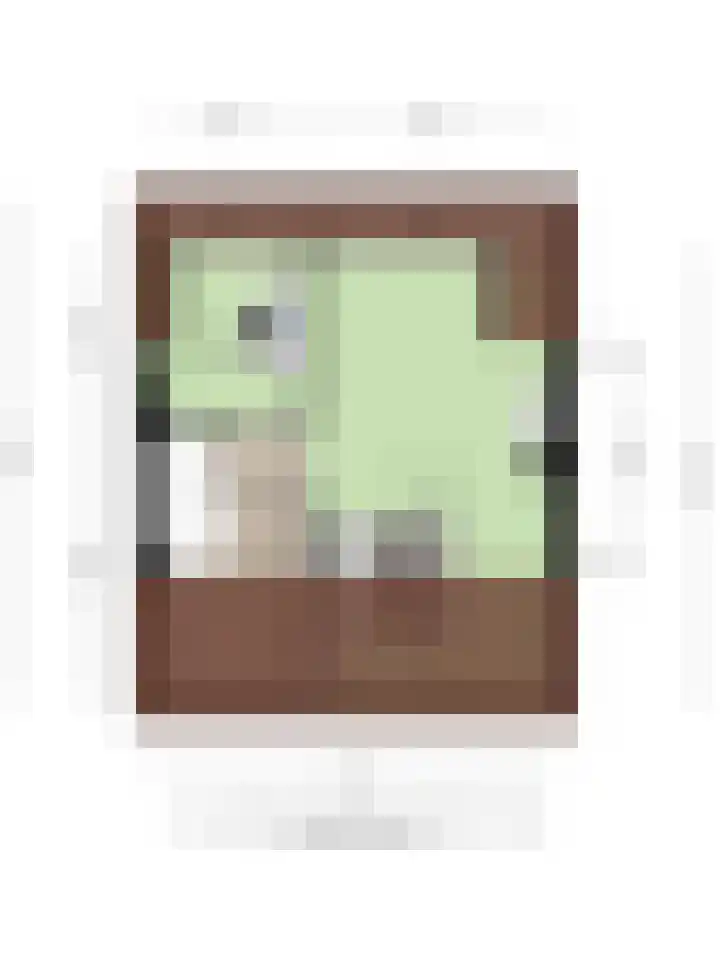 Oudlaan 15 Pijnacker thumbnail 49