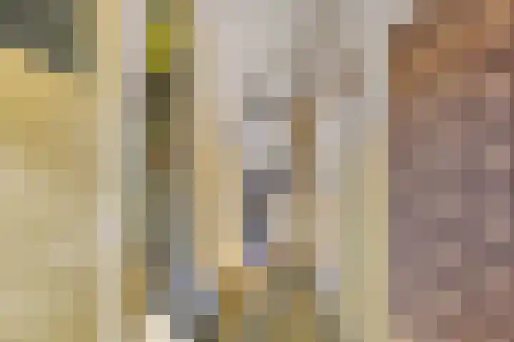 Oudlaan 15 Pijnacker thumbnail 8