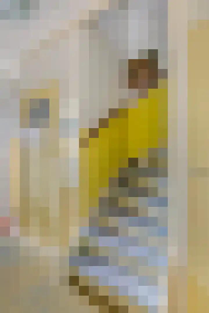 Oudlaan 15 Pijnacker thumbnail 9