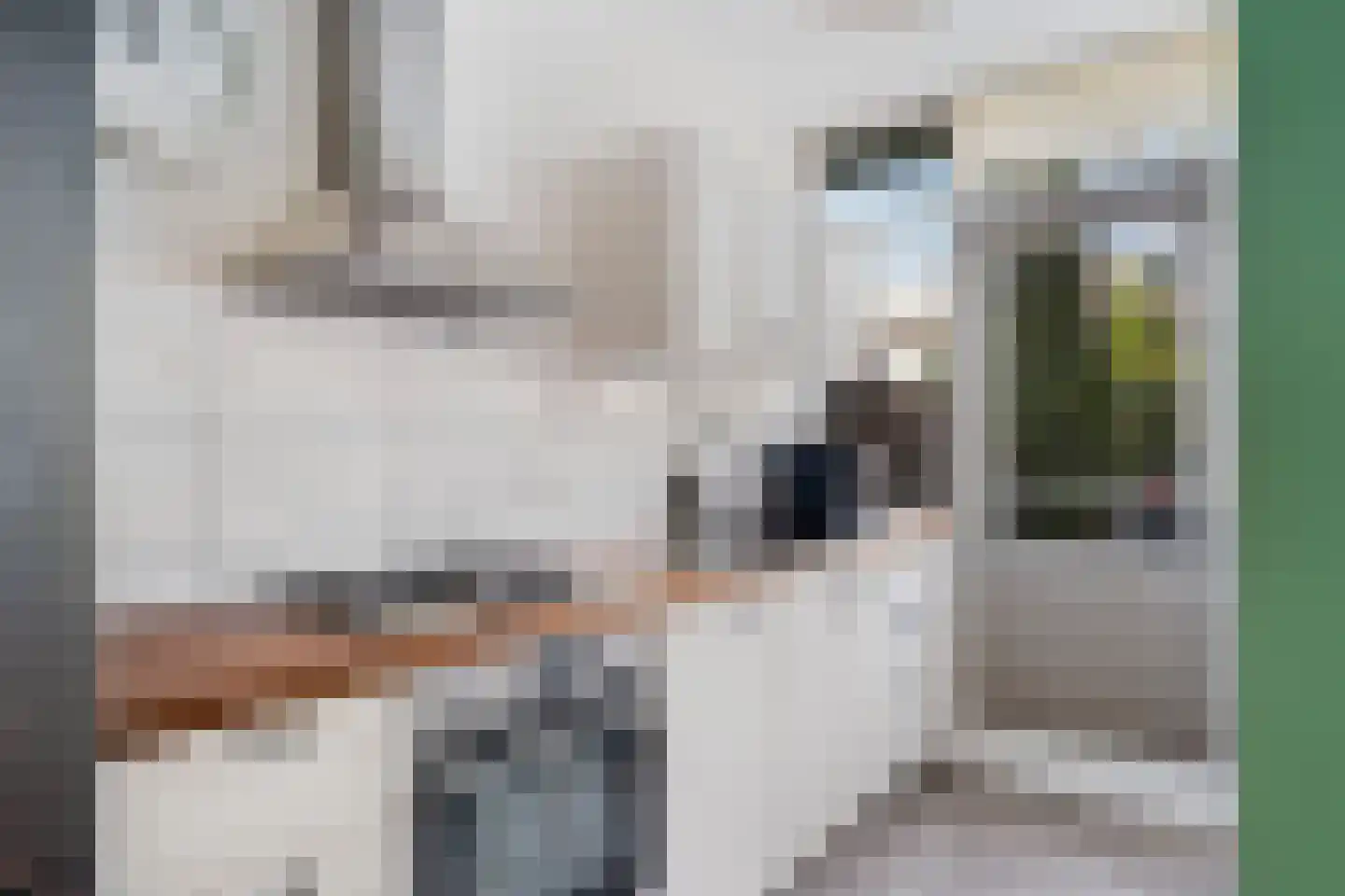 Oudlaan 20 Pijnacker thumbnail 11