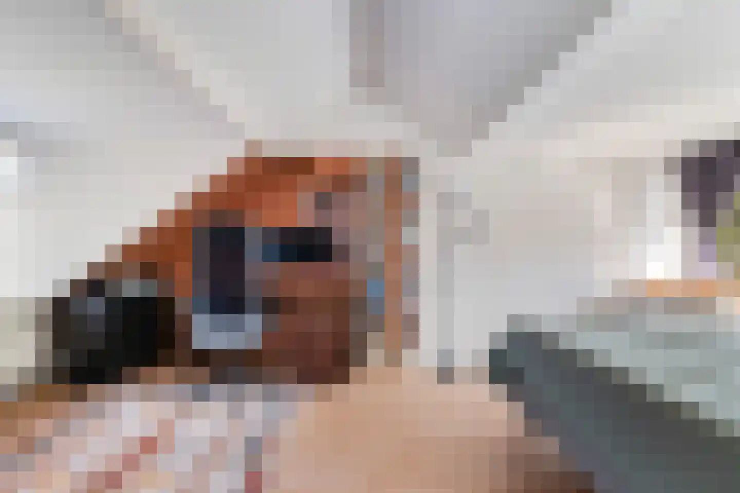 Oudlaan 20 Pijnacker thumbnail 24