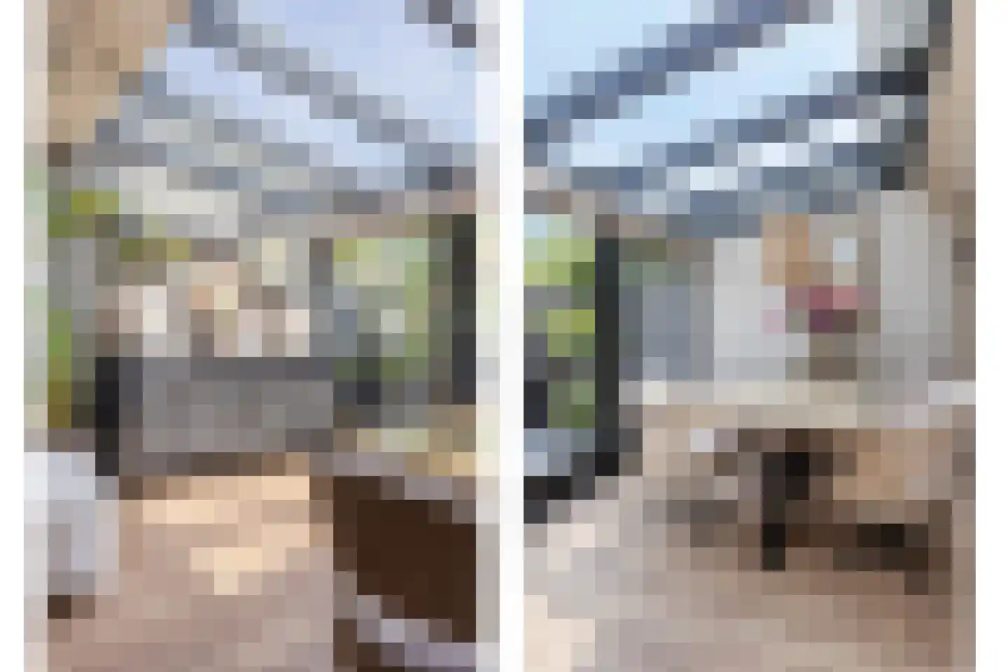 Oudlaan 28 Naaldwijk thumbnail 10