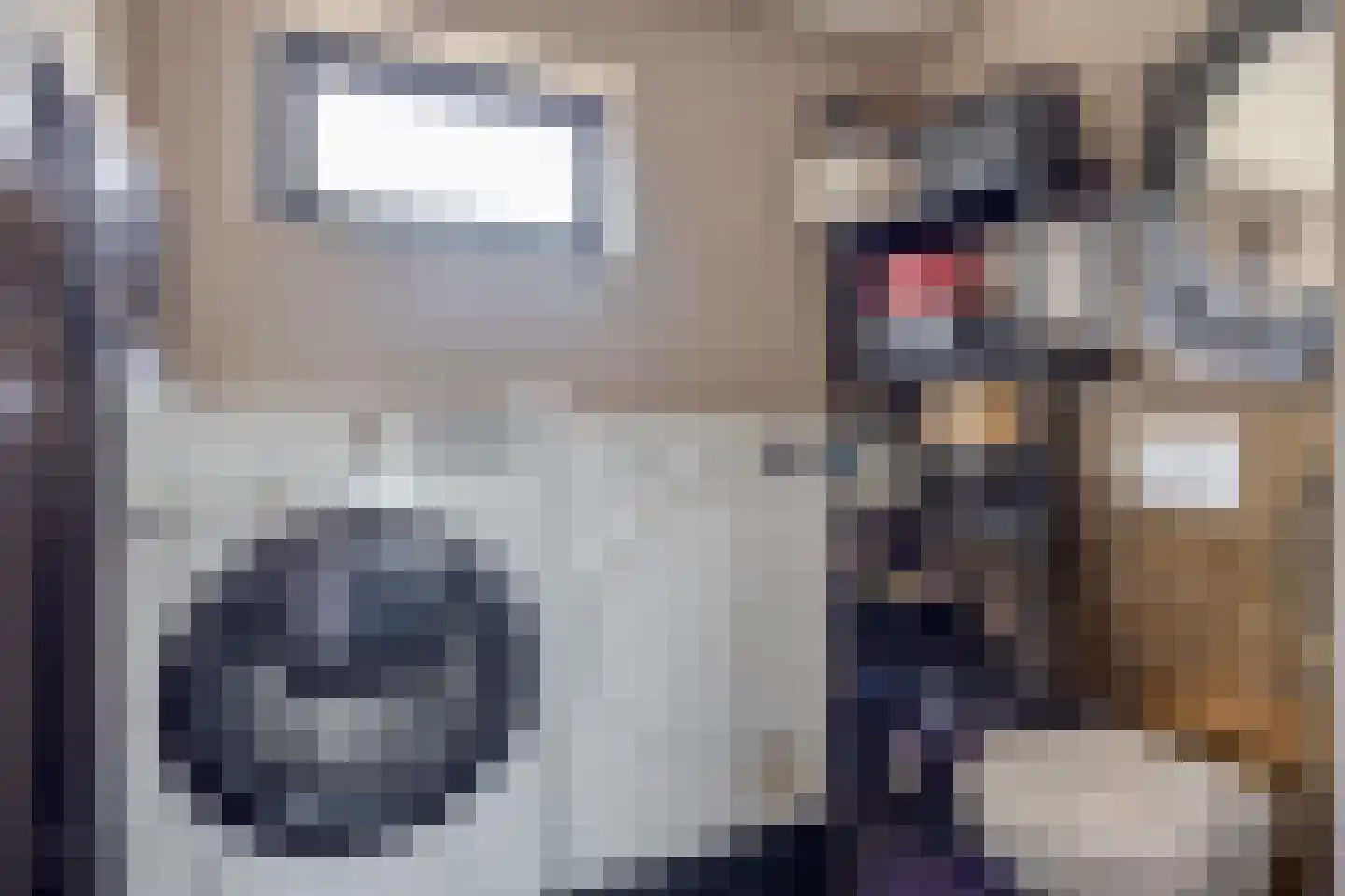 Oudlaan 28 Naaldwijk thumbnail 26