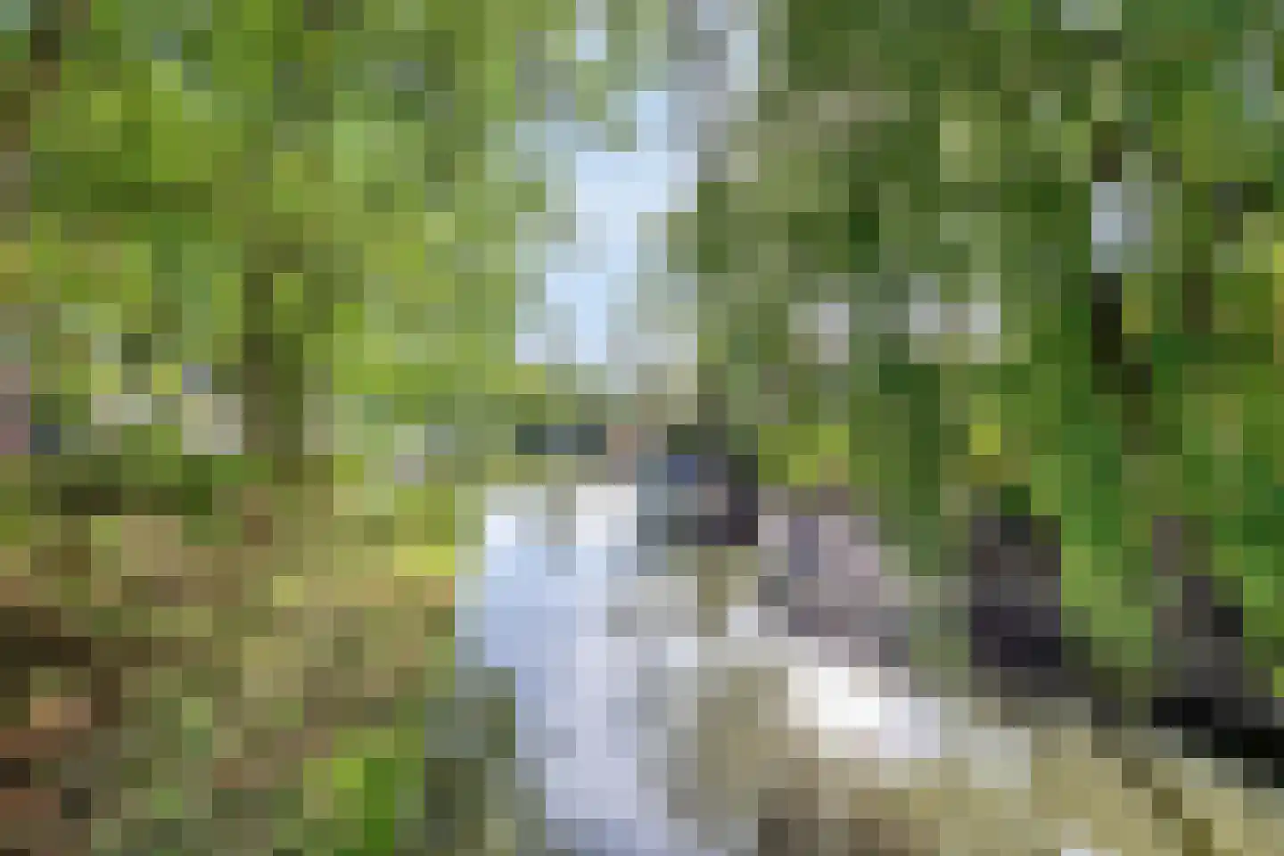 Oudlaan 28 Naaldwijk thumbnail 37