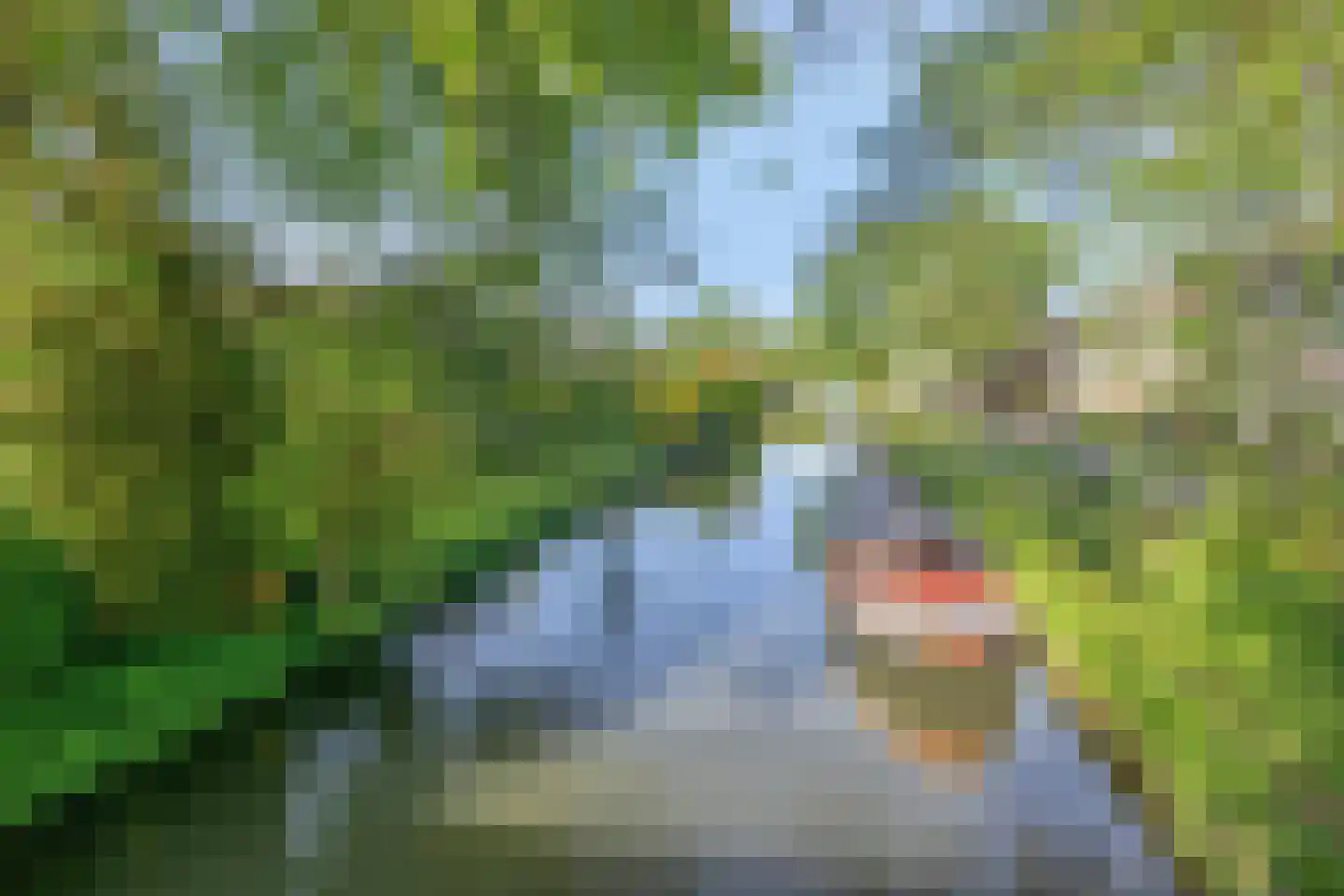 Oudlaan 28 Naaldwijk thumbnail 38