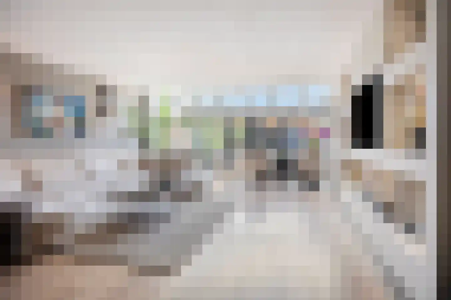 Oudlaan 28 Naaldwijk thumbnail 7