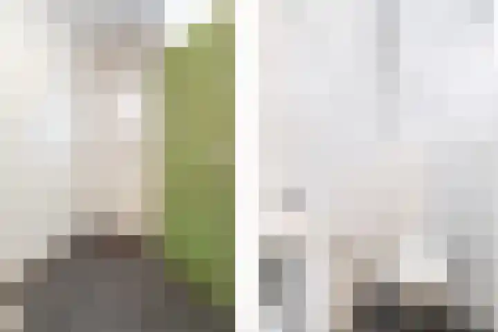 Oudlaan 30 Wageningen thumbnail 10