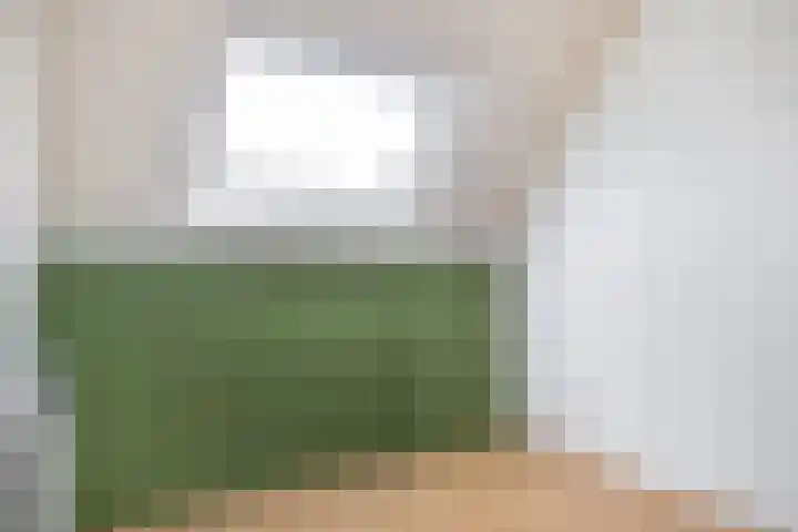 Oudlaan 30 Wageningen thumbnail 27