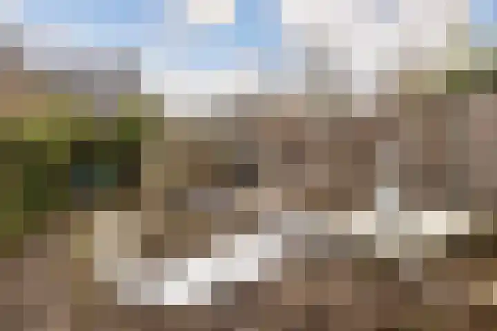 Oudlaan 30 Wageningen thumbnail 29