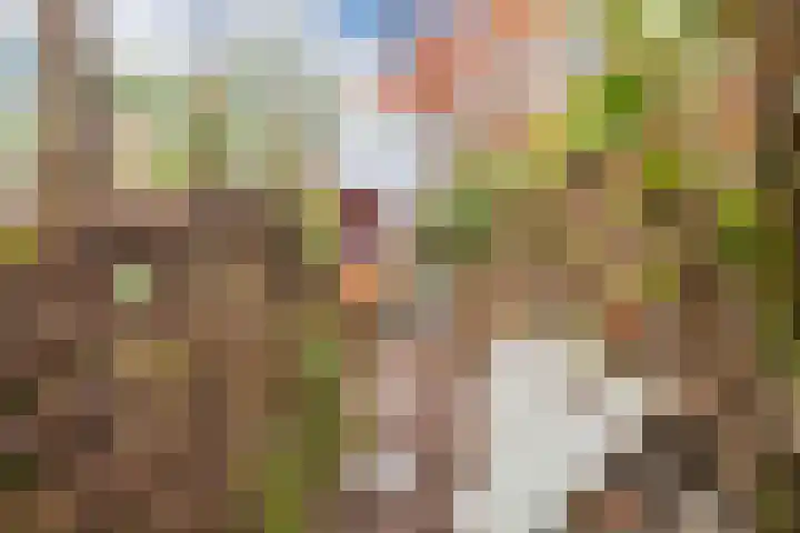Oudlaan 30 Wageningen thumbnail 31