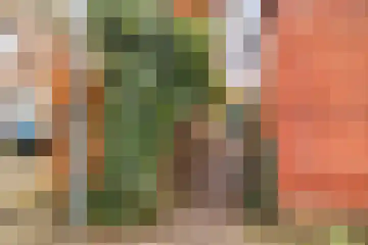 Oudlaan 30 Wageningen thumbnail 32