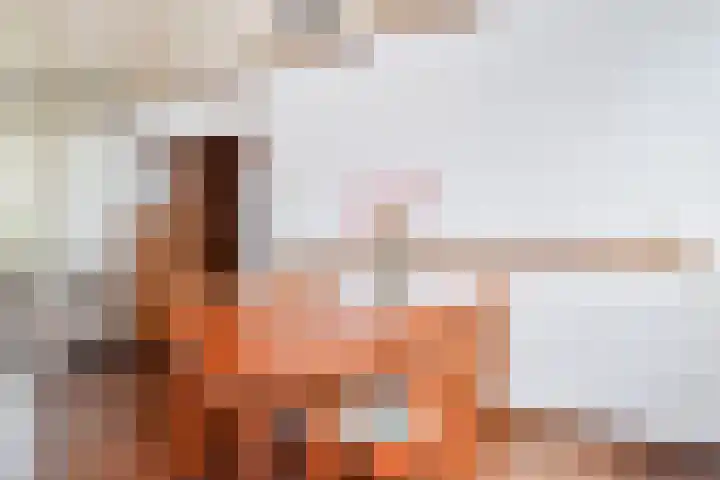 Oudlaan 37 Pijnacker thumbnail 12
