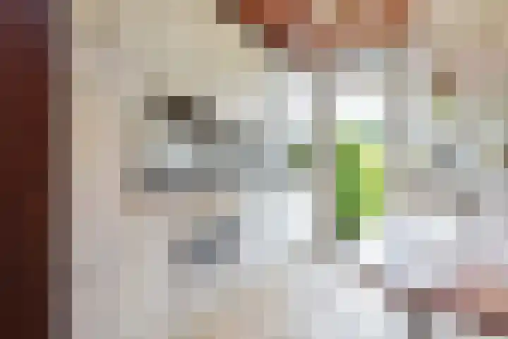 Oudlaan 37 Pijnacker thumbnail 13