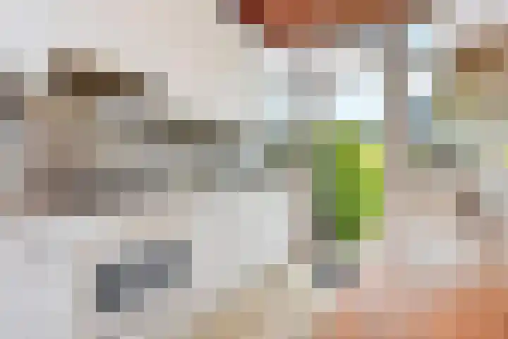 Oudlaan 37 Pijnacker thumbnail 15