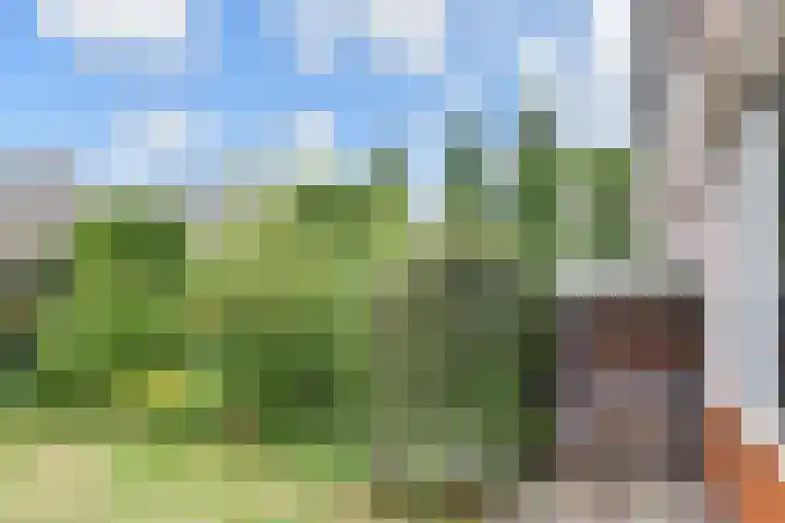 Oudlaan 37 Pijnacker thumbnail 16