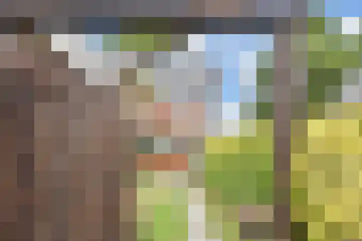 Oudlaan 37 Pijnacker thumbnail 18