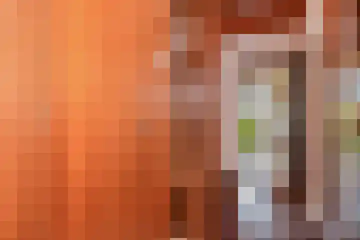 Oudlaan 37 Pijnacker thumbnail 21