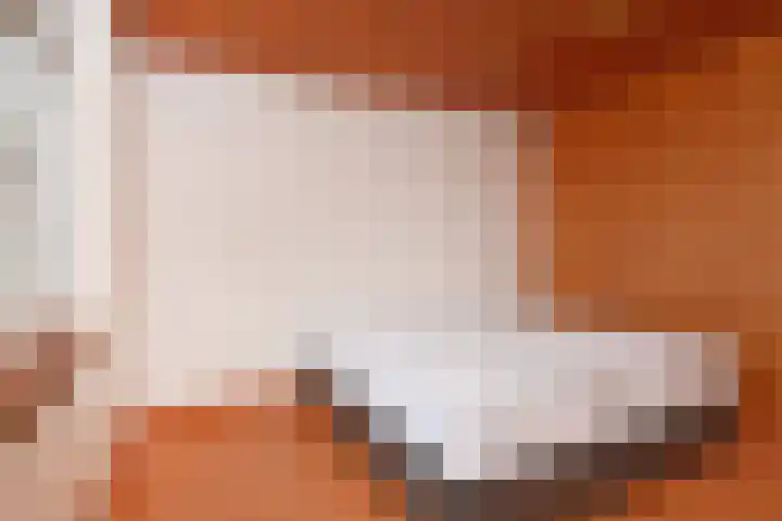 Oudlaan 37 Pijnacker thumbnail 23