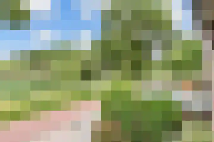 Oudlaan 37 Pijnacker thumbnail 36