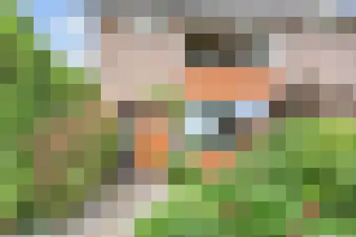 Oudlaan 37 Pijnacker thumbnail 6