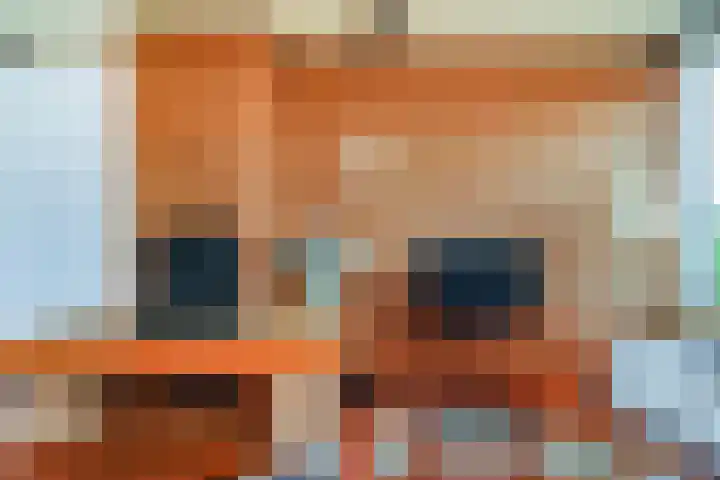 Oudlaan 37 Pijnacker thumbnail 8