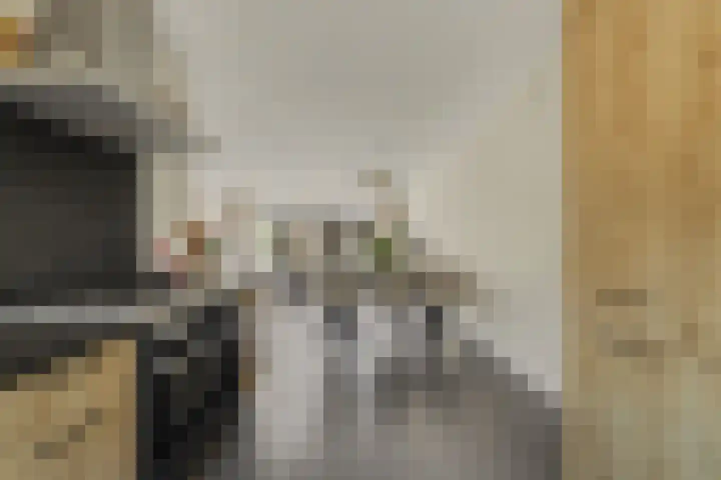 Oudlaan 42 Naaldwijk thumbnail 12