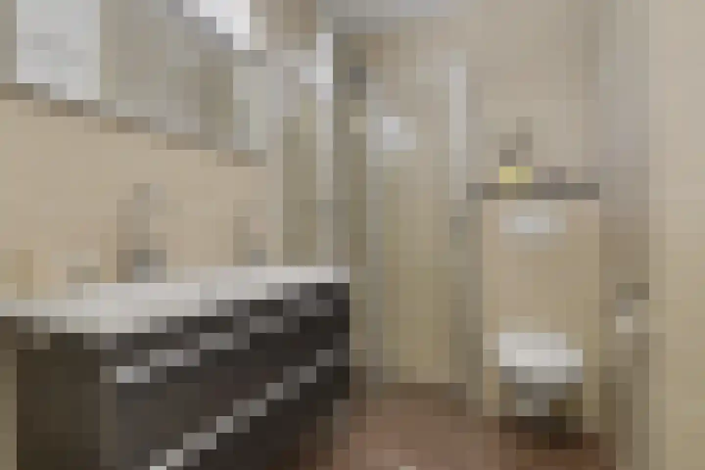Oudlaan 42 Naaldwijk thumbnail 19