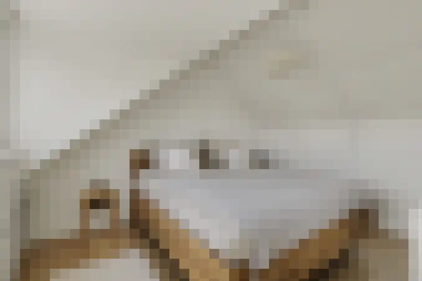 Oudlaan 42 Naaldwijk thumbnail 22