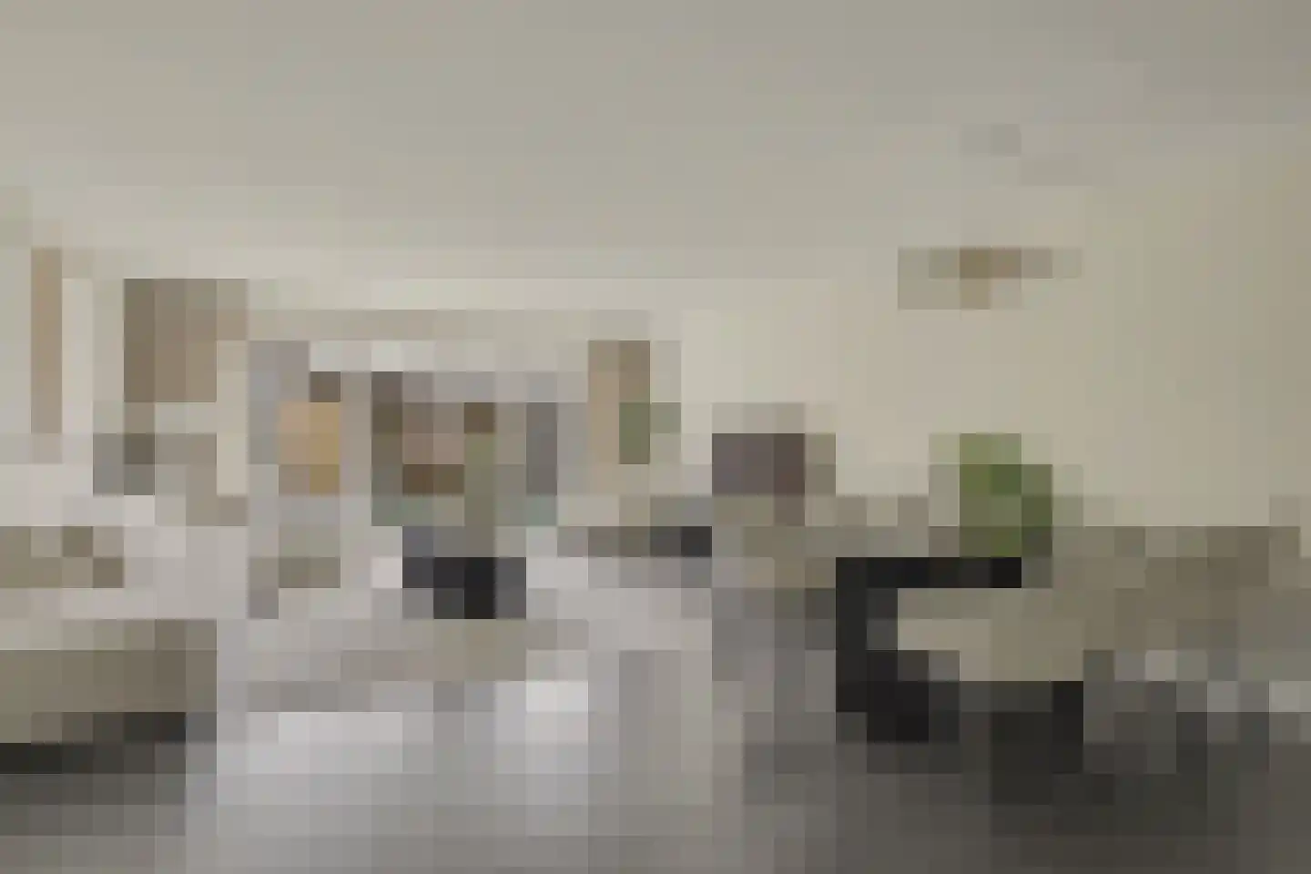 Oudlaan 42 Naaldwijk thumbnail 4