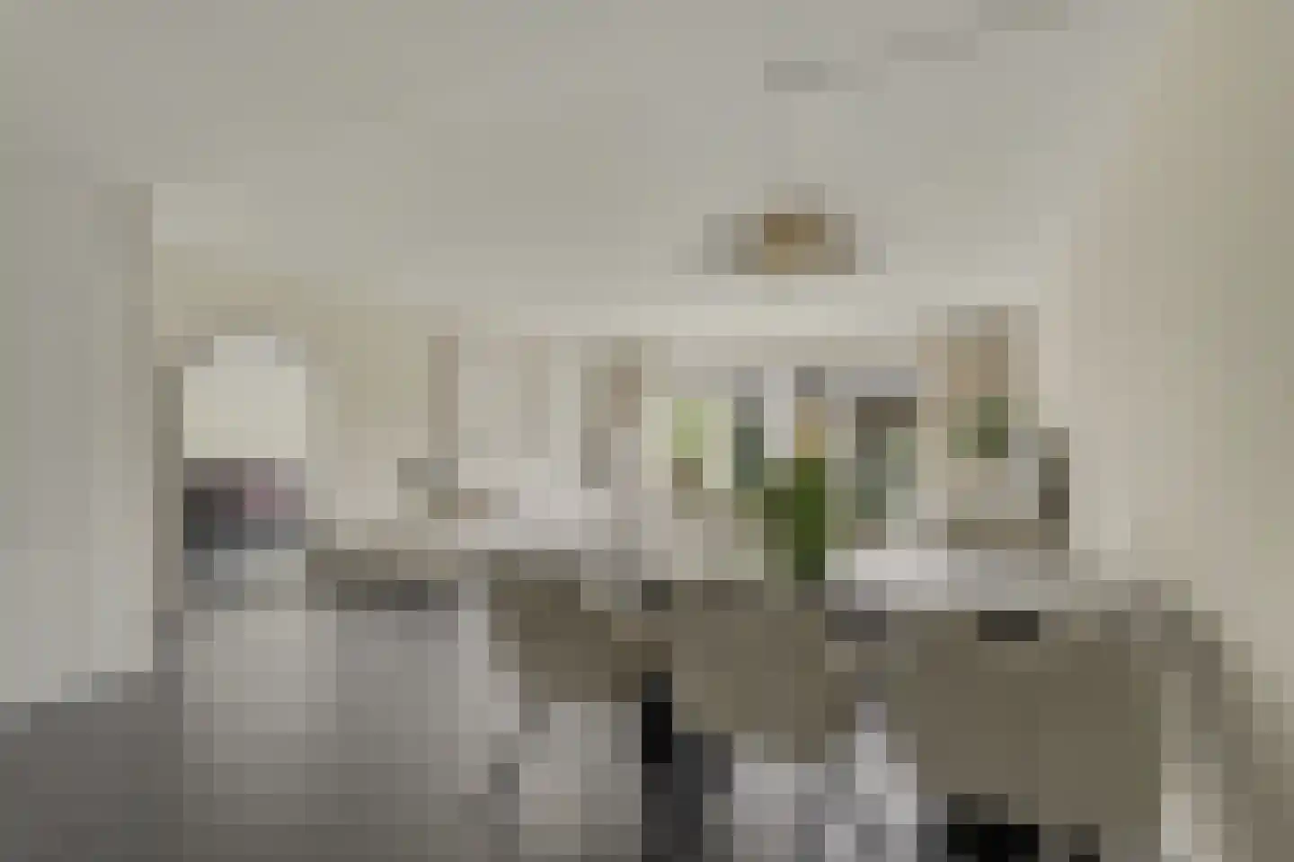 Oudlaan 42 Naaldwijk thumbnail 5