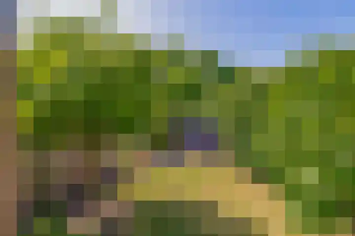 Oudlaan 45 Wageningen thumbnail 38