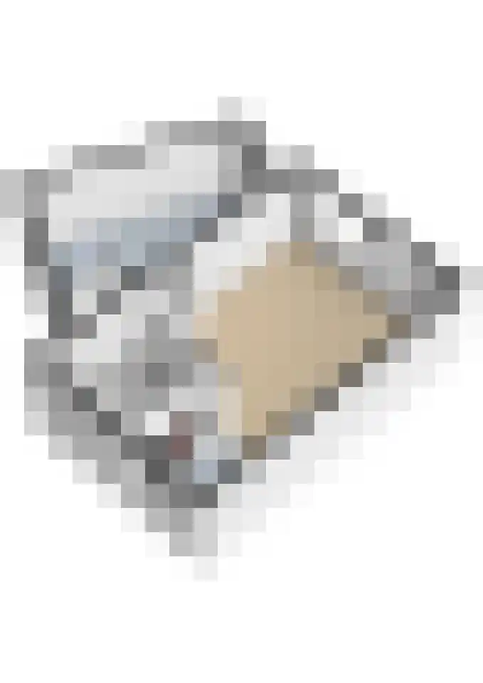 Oudlaan 45 Wageningen thumbnail 43