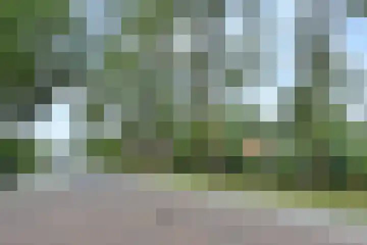 Oudlaan 55 Pijnacker thumbnail 33