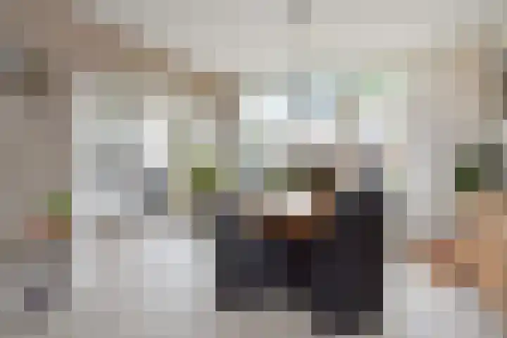 Oudlaan 55 Pijnacker thumbnail 7