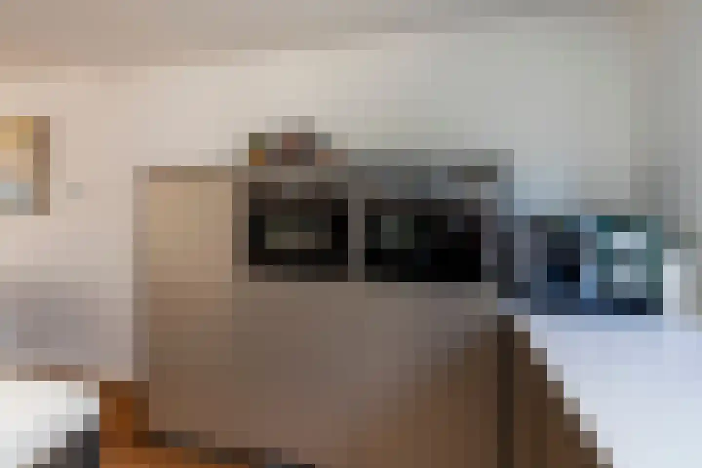 Oudlaan 60 Naaldwijk thumbnail 12