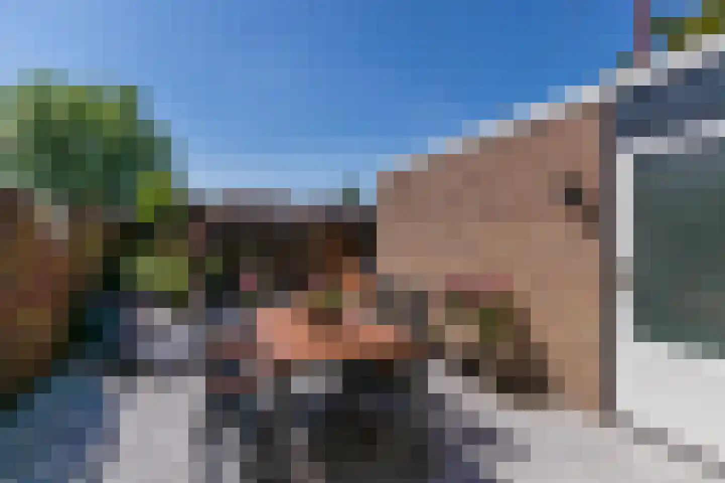 Oudlaan 60 Naaldwijk thumbnail 23