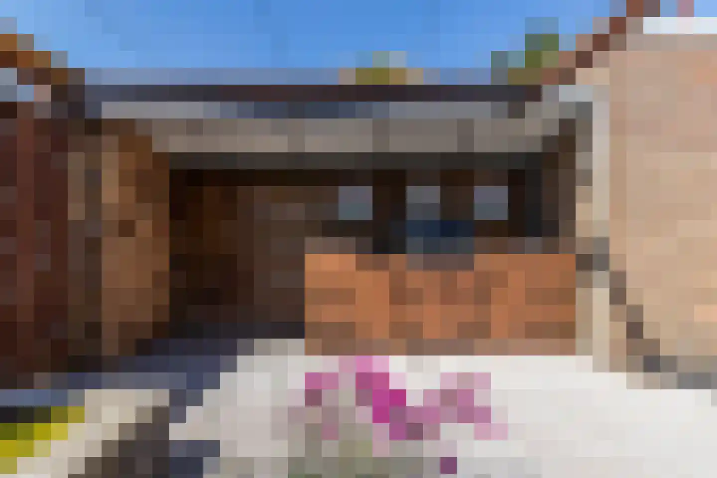 Oudlaan 60 Naaldwijk thumbnail 24
