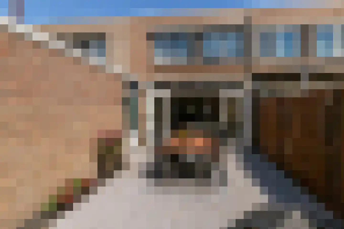 Oudlaan 60 Naaldwijk thumbnail 30