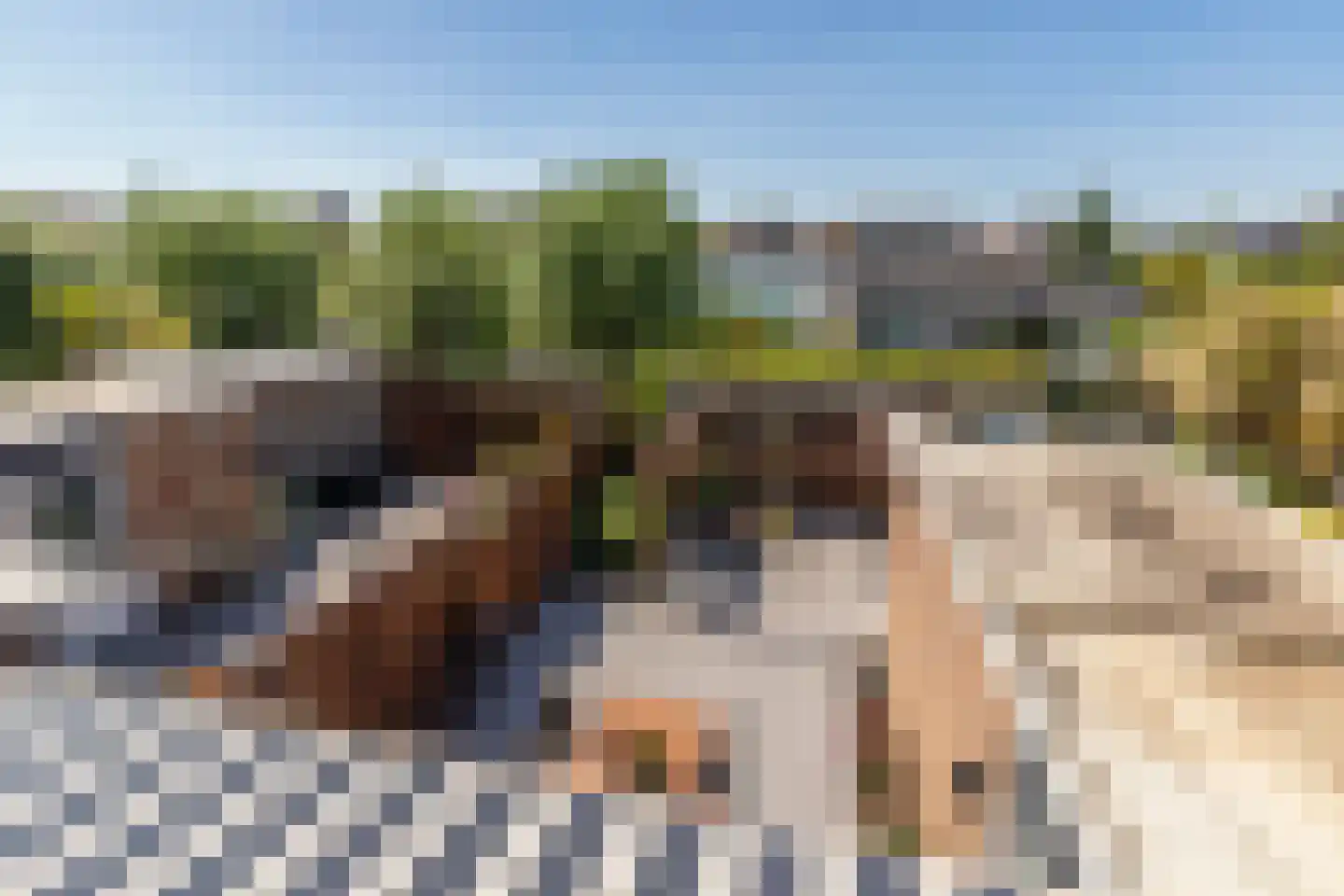 Oudlaan 60 Naaldwijk thumbnail 31