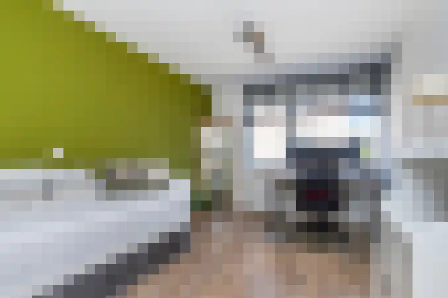Oudlaan 60 Naaldwijk thumbnail 37