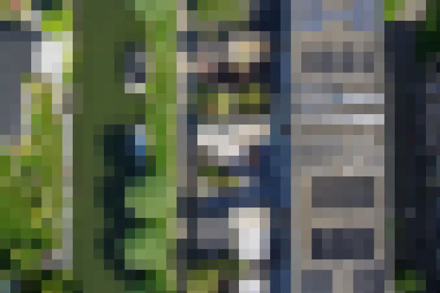 Oudlaan 60 Naaldwijk thumbnail 45
