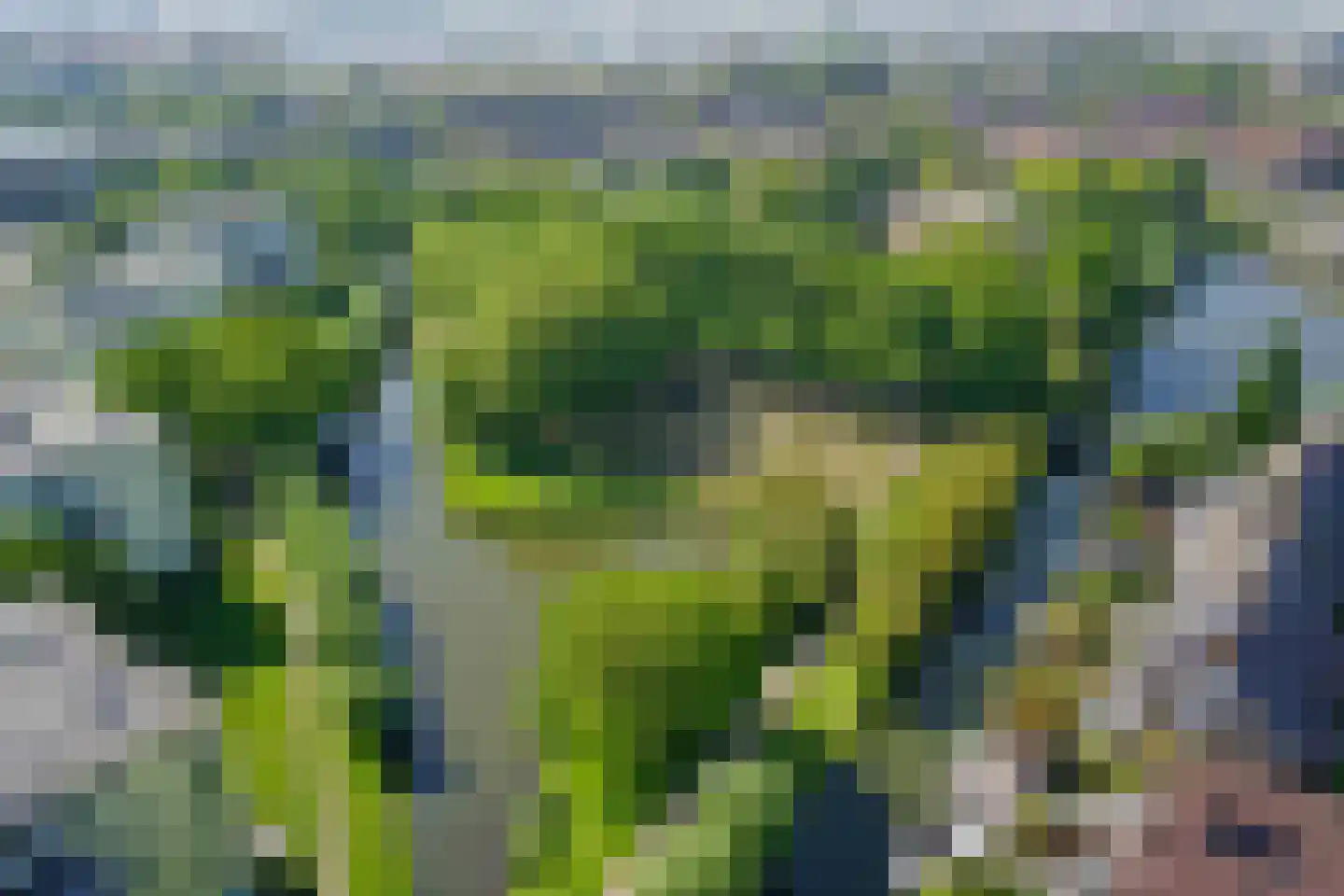 Oudlaan 60 Naaldwijk thumbnail 46
